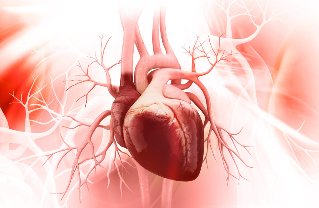 coeur artificiel implantable
